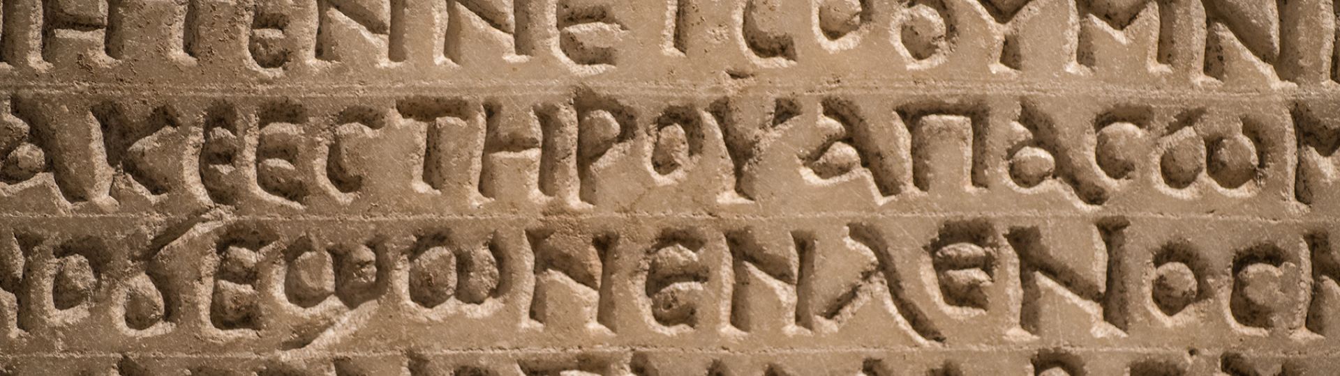 Scopri come ottimizzare gli alt-text delle immagini